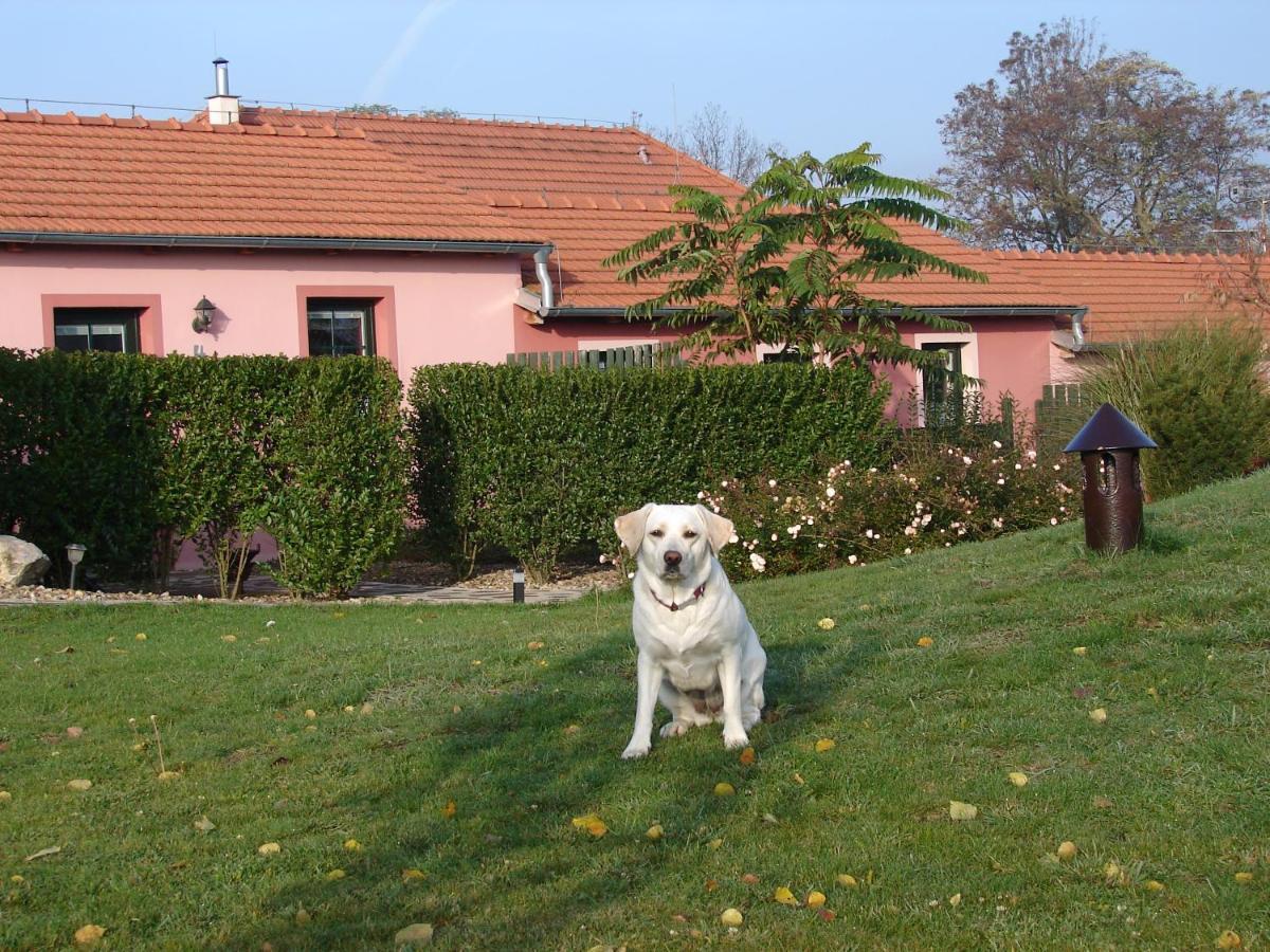 Appartamento Penzion Na Lednické Hlohovec Esterno foto